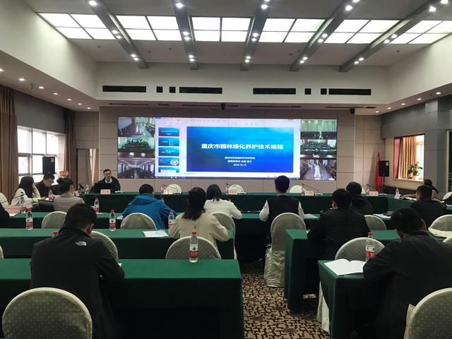 專業(yè)引領，技術賦能 市園林科研院助力全市園林綠化與影視培訓雙提升
