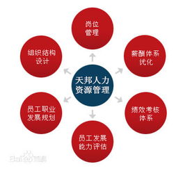 鄭州社保公積金代理、勞務派遣及人事外包服務市場概況